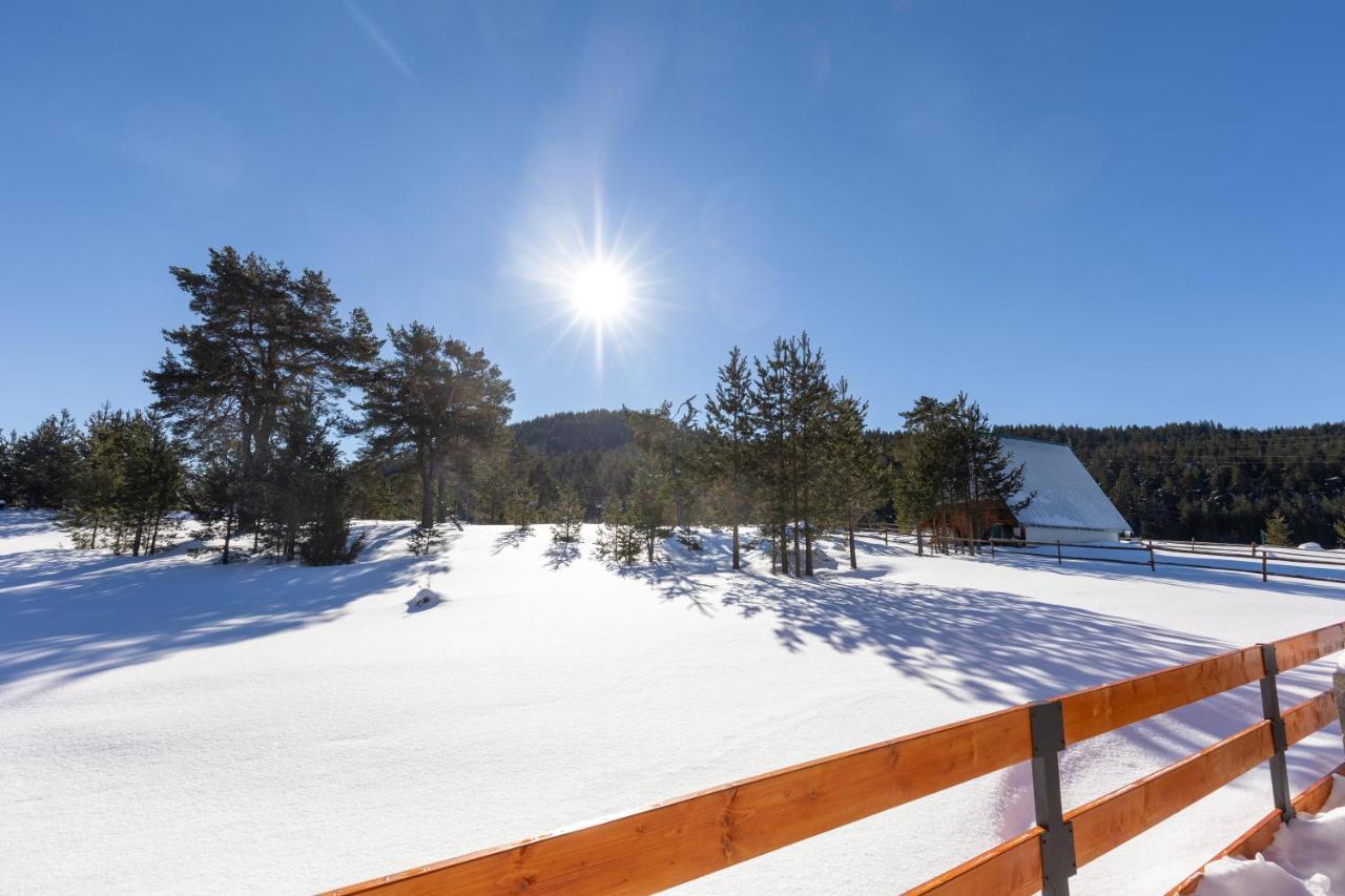Vila Hanovi Zabljak Eksteriør bilde